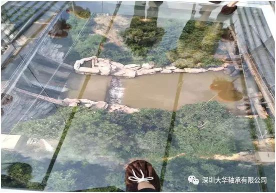 深圳大華軸承2019年戶外拓展培訓(xùn) 深圳大華軸承2019年戶外拓展培訓(xùn)